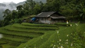 image-36